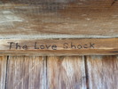 photo thumbnail #5