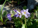 photo thumbnail #11