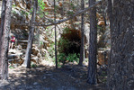 photo thumbnail #15