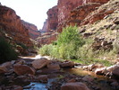 photo thumbnail #12