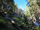 photo thumbnail #9
