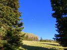 photo thumbnail #10
