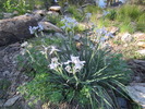 photo thumbnail #13