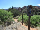 photo thumbnail #6