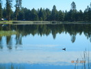 photo thumbnail #1