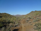 photo thumbnail #11