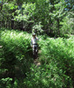 photo thumbnail #7
