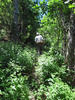 photo thumbnail #11