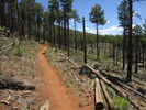 photo thumbnail #2