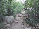 photo thumbnail #3