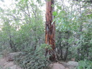 photo thumbnail #10