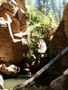 photo thumbnail #11