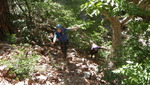 photo thumbnail #12