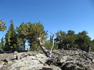 photo thumbnail #10