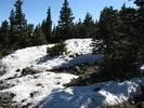 photo thumbnail #11
