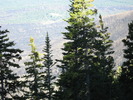 photo thumbnail #15