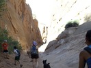 photo thumbnail #8