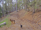 photo thumbnail #5