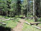 photo thumbnail #2