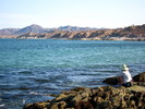 photo thumbnail #3