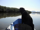 photo thumbnail #12
