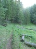 photo thumbnail #3