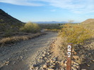 photo thumbnail #4