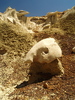 photo thumbnail #13