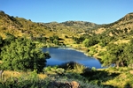 photo thumbnail #3