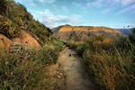 photo thumbnail #9