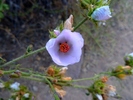 photo thumbnail #14