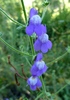 photo thumbnail #7
