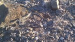 photo thumbnail #1