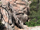 photo thumbnail #6