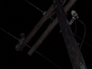 photo thumbnail #7