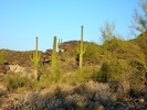 photo thumbnail #3