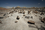 photo thumbnail #7