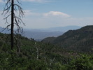 photo thumbnail #12
