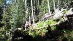 photo thumbnail #8