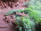 photo thumbnail #9