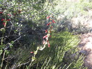 photo thumbnail #11