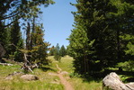 photo thumbnail #8
