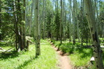 photo thumbnail #11
