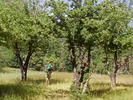 photo thumbnail #4