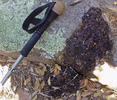 photo thumbnail #8