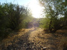 photo thumbnail #9
