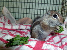 photo thumbnail #12