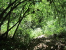 photo thumbnail #10