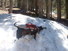 photo thumbnail #1