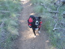 photo thumbnail #2